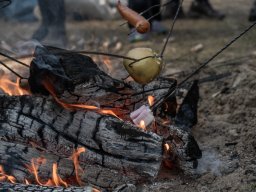 Sprzatanie swiata 29.03.25 Bielice